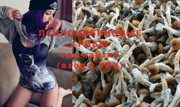 винт Зеленодольск