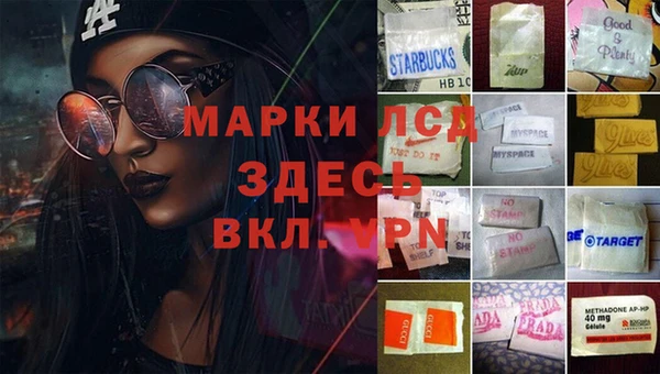 кокс Алзамай