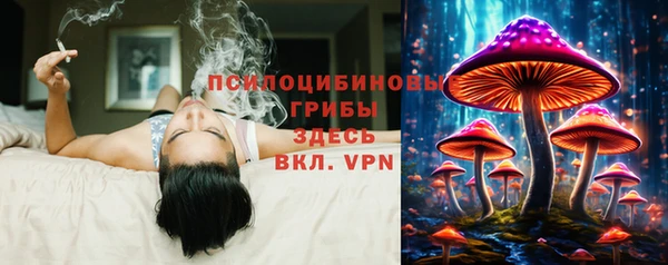 кокс Алзамай